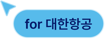 for 대한항공